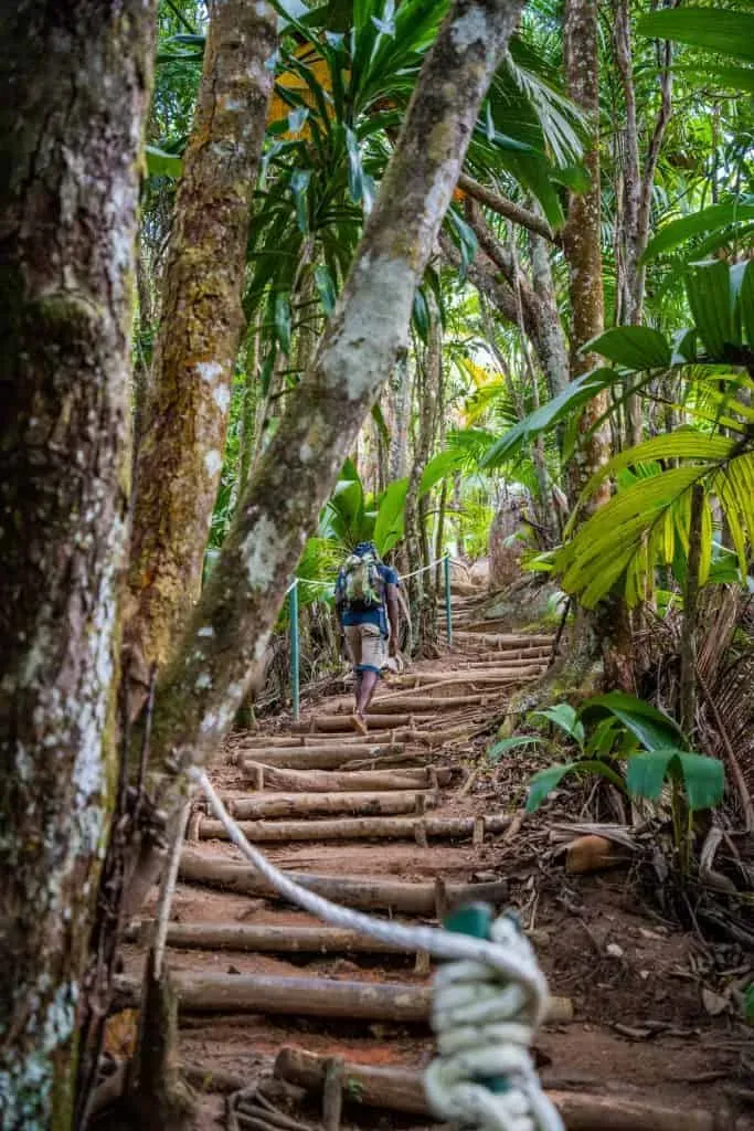 A hiker with a backpack ascending a rustic wooden staircase surrounded by dense tropical forest in Glacis noire nature trail, Seychelles.
