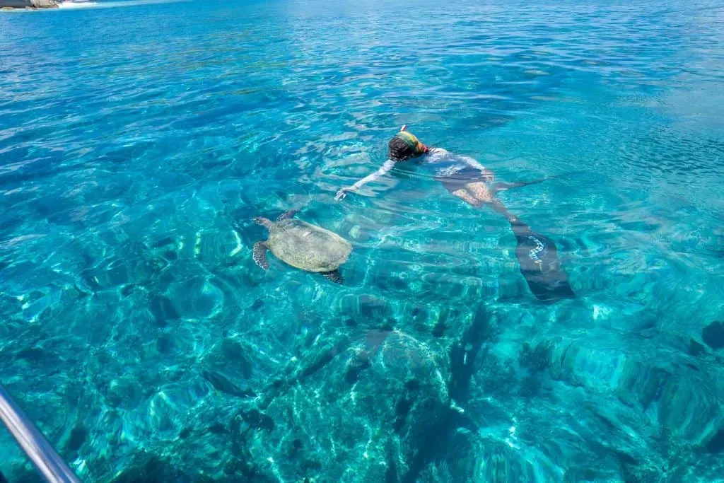 A snorkeler swimming alongside a sea turtle in the crystal-clear turquoise waters of Seychelles.