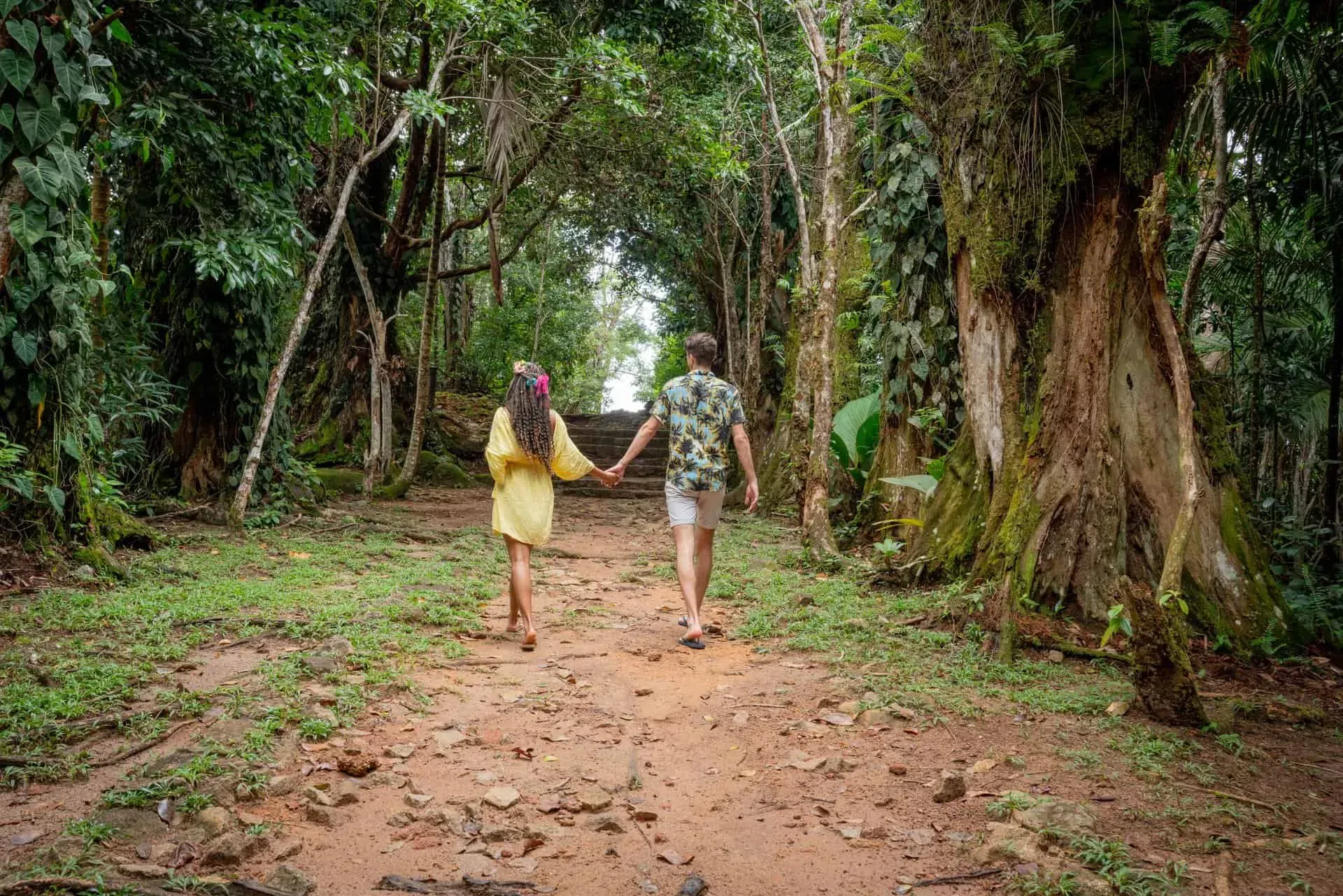 A couple holding hands while walking through a lush forest trail surrounded by towering trees in Seychelles.