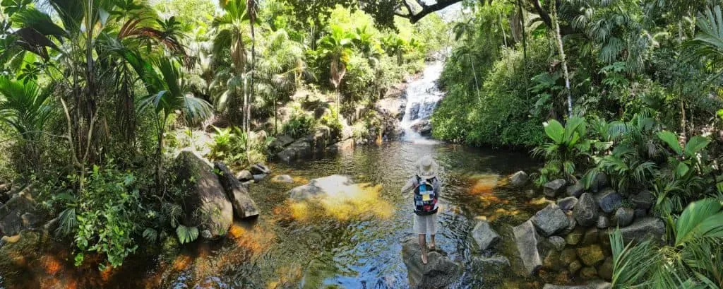 A traveler standing on a rock, surrounded by lush tropical greenery and a cascading waterfall in Seychelles.